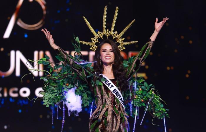 Miss Universe 2024: See all the best national costumes