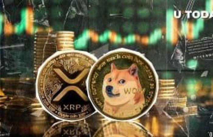 XRP Flips Dogecoin After Epic Rally Past $1