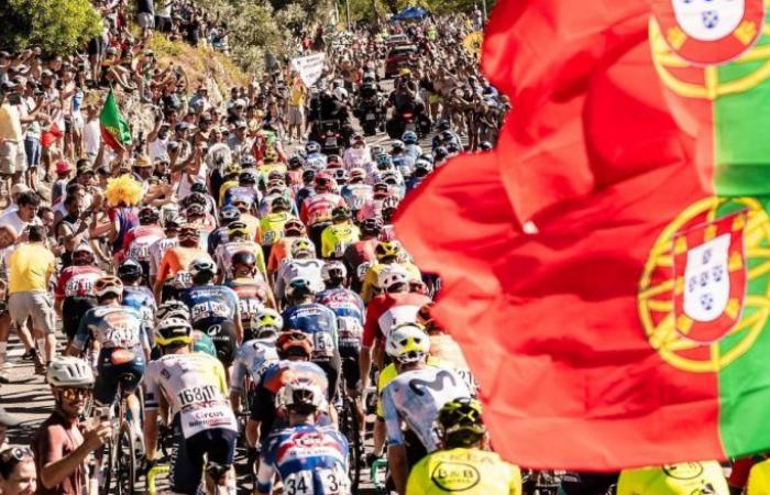 Cycling. Doping – The shock investigation into cycling in Portugal… doping and corruption!