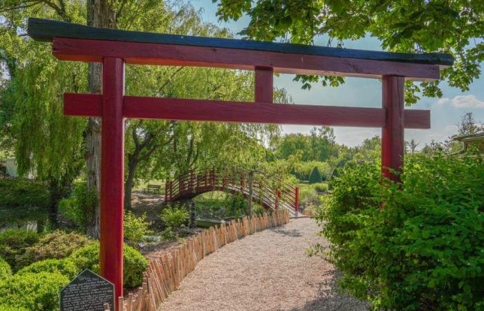 The first Japanese vegetable garden in France was born in a splendid garden in the Oise