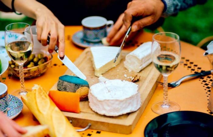 Ranking of the most off-putting European cheeses