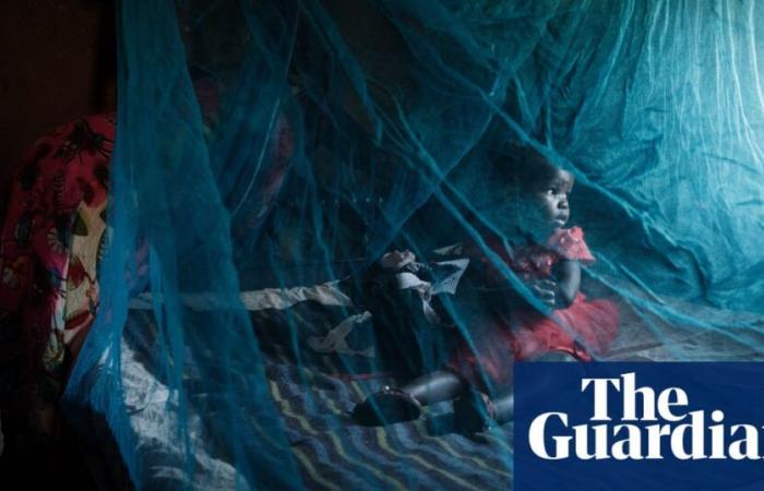 Fears for spread of malaria in Africa as study finds resistance to frontline drug | Global development