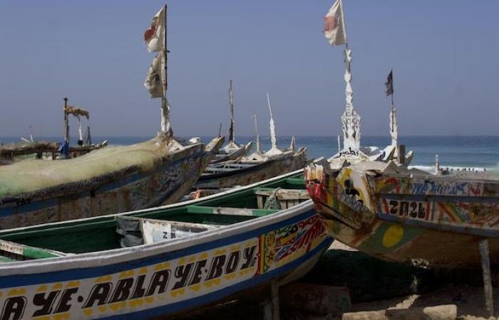 “Death is no longer scary”: in Senegal, the exodus by the ocean | The migrant crisis