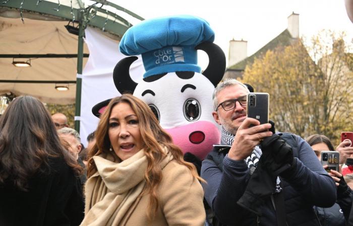 Photos: Eva Longoria, Jean Reno, Dominic West, Zabou Breitman, Constance Labbé, Patrick Paroux… rain of stars at the Hospices de Beaune