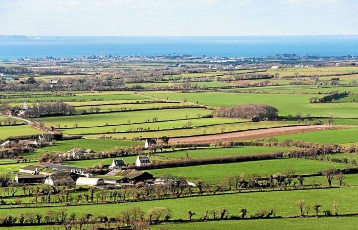 More than 50 years ago, land consolidation transformed the Breton landscape: progress at what cost?