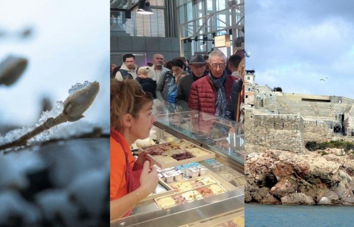 First names at the Théâtre de la Mer, crowds of visitors to the Béziers halls, falling temperatures: the main news in the region