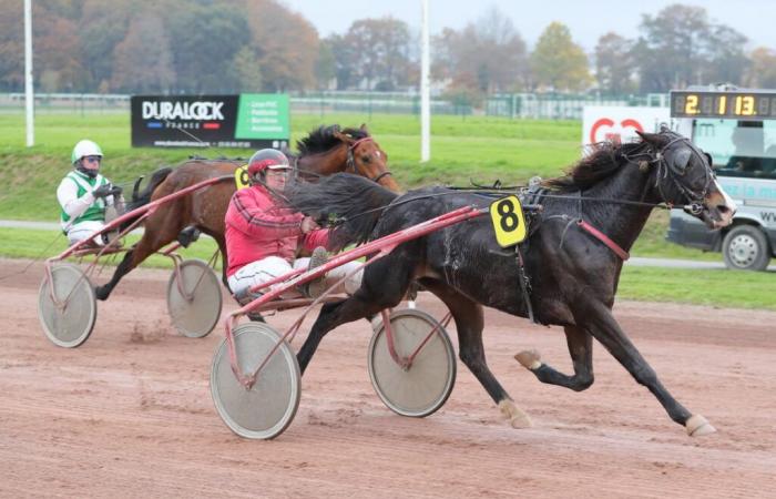 Regional Final for 5-year-olds (West): The Jade Hérinière surprise