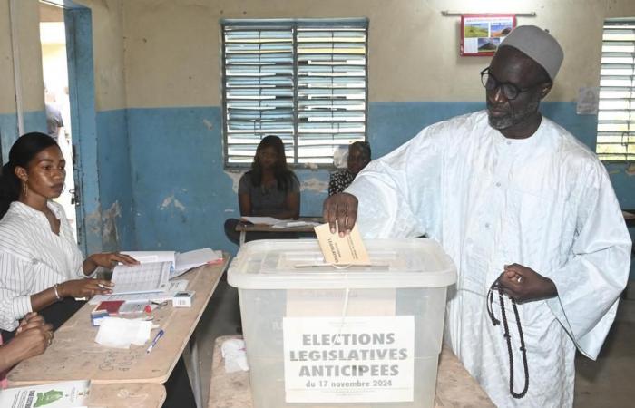 (Multimedia) Senegal/legislative elections: the vote is taking place “satisfactorily”, according to the CENA – Xinhua