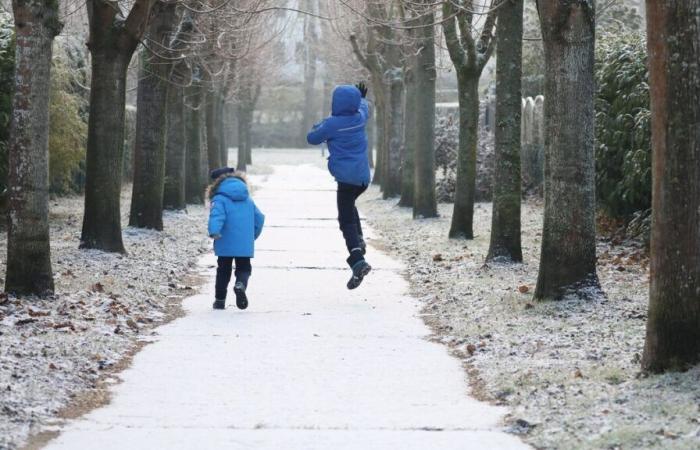 Snow could fall on the plains on Thursday in the north of France: maps to understand the situation