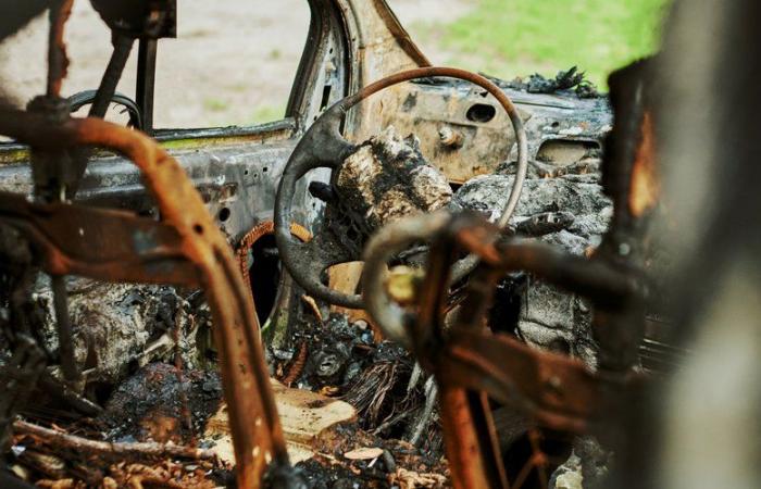 Five dead in a terrible accident near Gaillac in Occitanie: the car hit a plane tree before catching fire