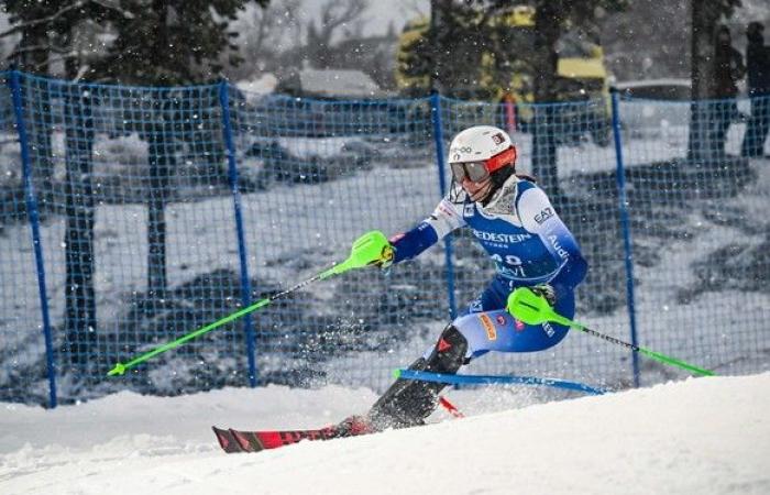 the Swiss had a black armband in Levi