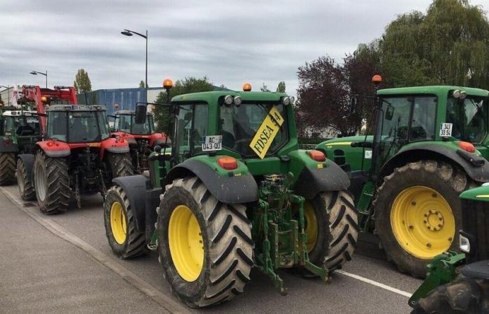 Mobilization of farmers: what to expect in Meurthe-et-Moselle and the Vosges?