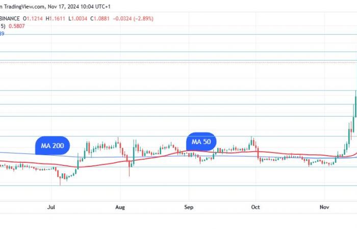 XRP Flips Dogecoin After Epic Rally Past $1