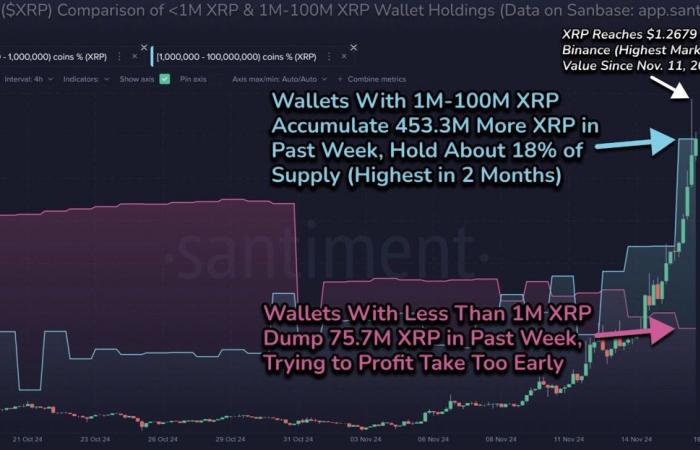 XRP price retreats 20% after hitting a multiyear high — Is the top in?