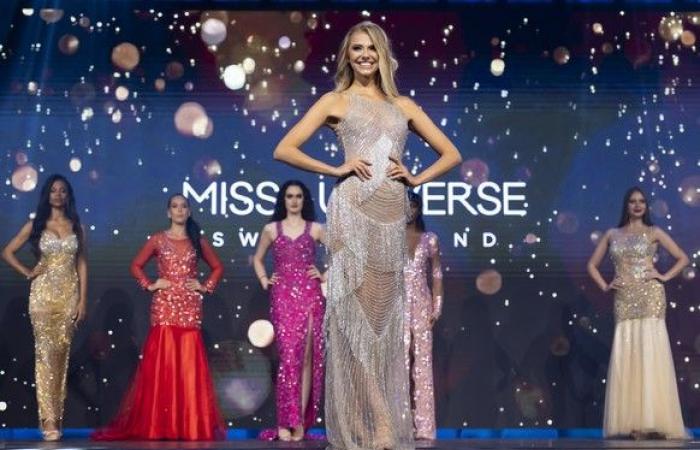 The new Miss Universe comes from Denmark