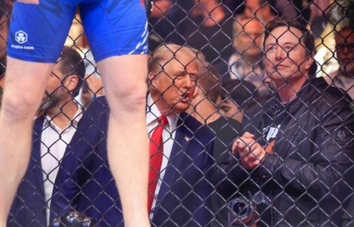 Donald Trump headlines MMA night in New York