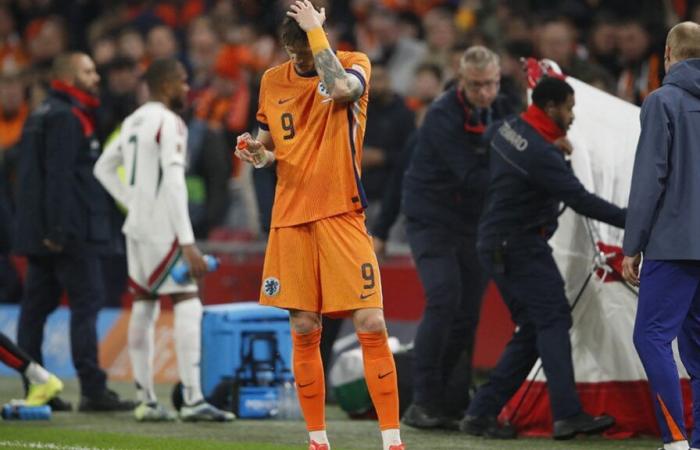 Chilling scene in the Netherlands: the match against Hungary interrupted after the discomfort of a member of the staff