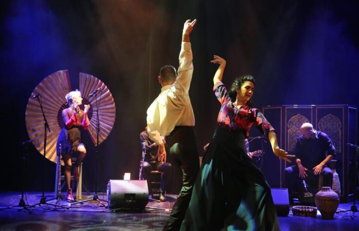 Flamenco, the dance of flamboyant emotions