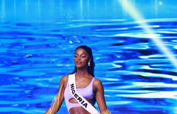 20 Miss Universe contestants who made history during the 2024 pageant