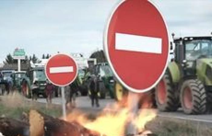 “We will not die without saying anything”: in Tarn-et-Garonne, these farmers are ready to remobilize