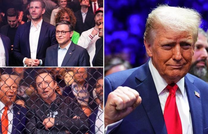 Trump flanked by top allies, cabinet picks at UFC 309: ‘USA, USA’