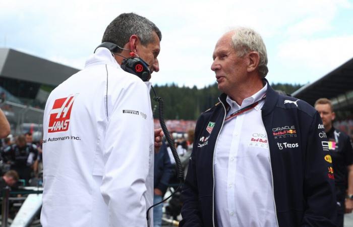 Günther Steiner admits he should have left Haas in 2022