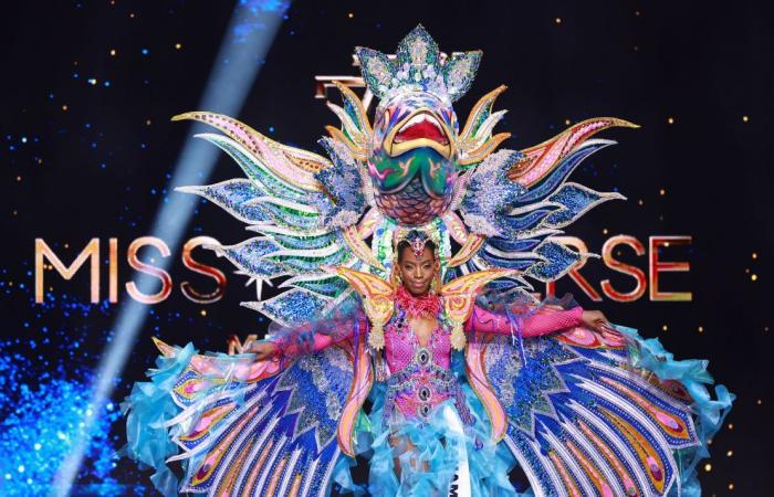 Miss Universe 2024: See all the best national costumes