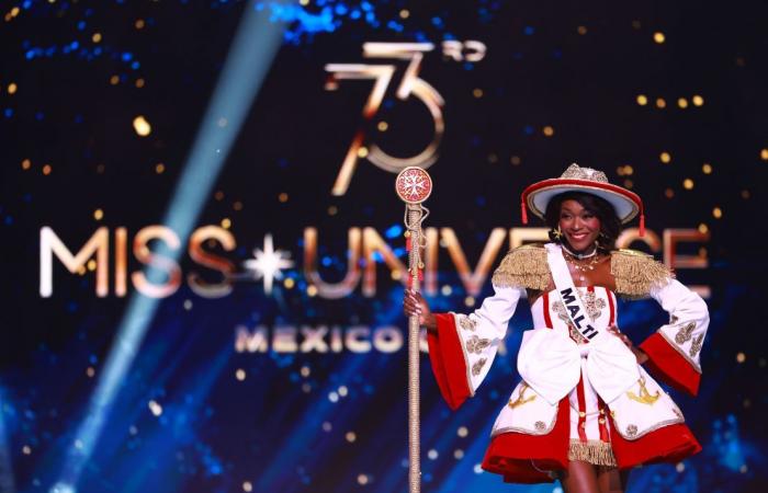 Miss Universe 2024: See all the best national costumes