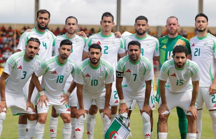 Why Algeria are almost world champions