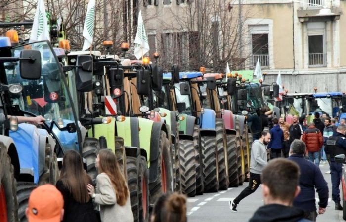 Anger of farmers: “distress lights”, filtering operation, targeted actions… What is planned for Monday in your department against the Mercosur treaty