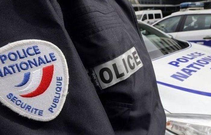 Nocturnal noise, alcoholic suspect, threats, fake weapon: what we know about the 30-year-old man killed by a police officer in Val-de-Marne