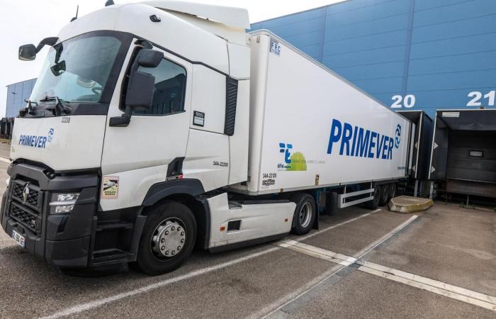 Primver deploys its activity internationally at the fruit terminal of the port of Sète (Hérault)