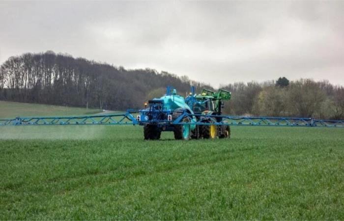 Organic farmers in Côtes-d'Armor denounce the use of the herbicide prosulfocarb