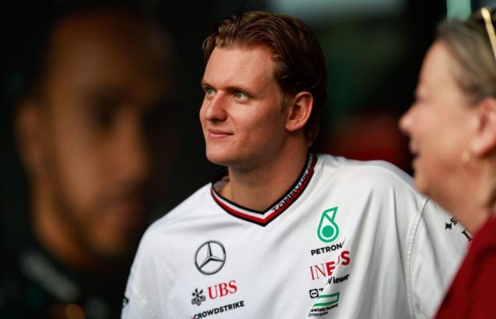 Is Schumacher announcing the end of his F1 adventure?