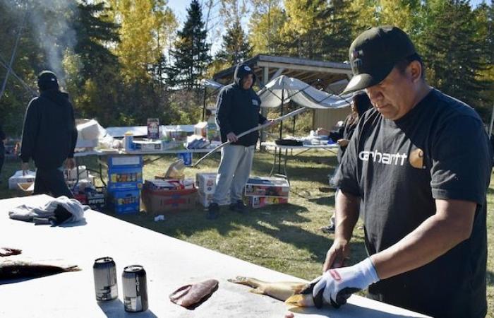 Grassy Narrows: the poisonous river