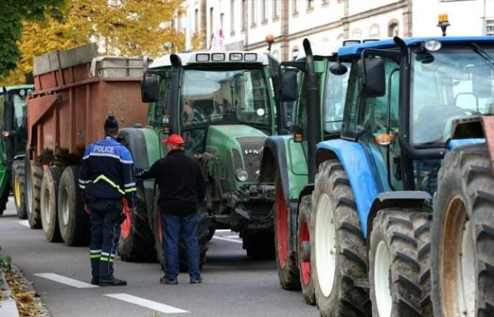 A10, N118… The blocking points planned by farmers for the mobilization in Île-de-France this Sunday