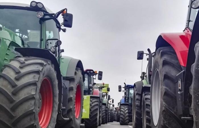 Vaucluse farmers announce new blockages in Avignon