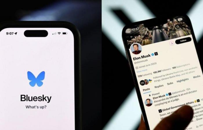 What is Bluesky, the online platform welcoming users leaving Elon Musk’s X?