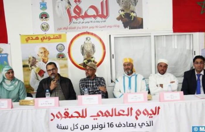 El Jadida: Celebration in Ouled Frej of International Falconry Day