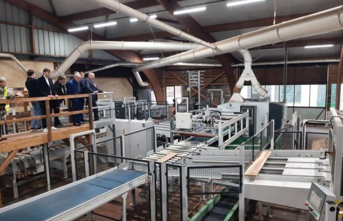 how this Jura sawmill is reinventing itself to become a market leader