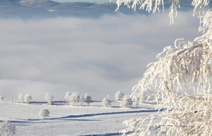 Occitania. Snow could soon fall in abundance in this department far from the Pyrenees