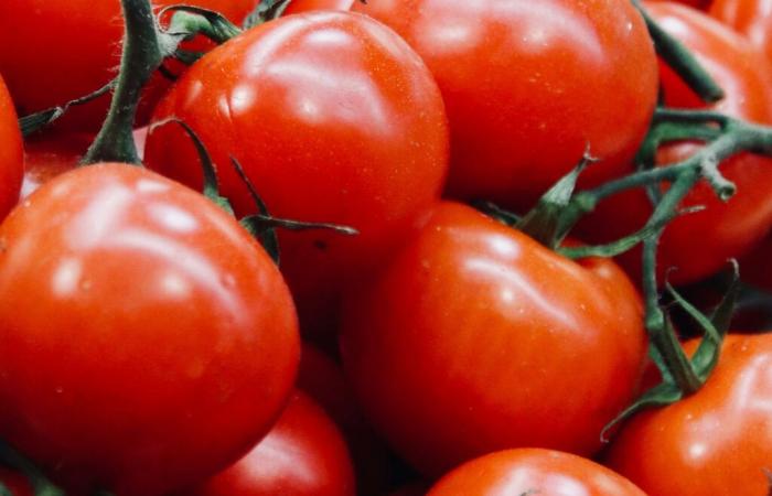 why should you eat tomatoes?