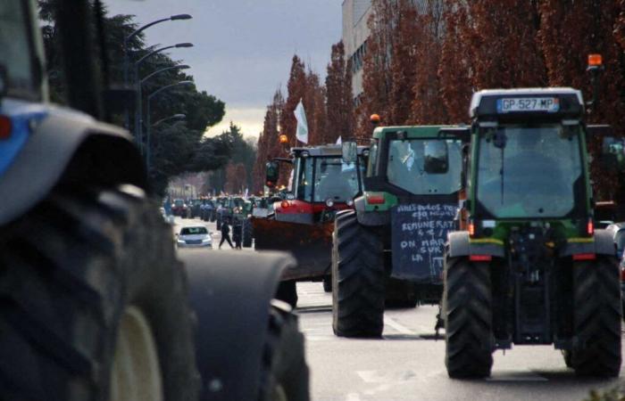 how farmers will mobilize on Monday in Haute-Garonne