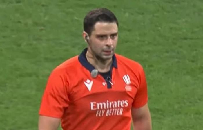 ''Curiously generous'', referee targeted in New Zealand after France – All Blacks