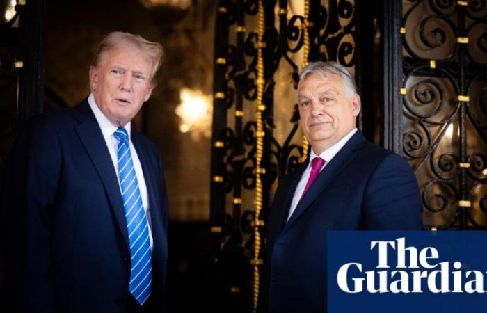 Second Trump reign could make life ‘a lot harder’ for EU’s far-right leaders | US politics