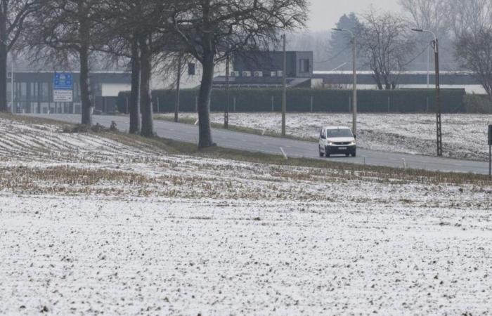 Snow, strong wind… Belgium facing winter conditions in the coming days