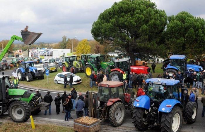 Anger of farmers: where will they demonstrate and what to expect this Monday in France and Occitanie?