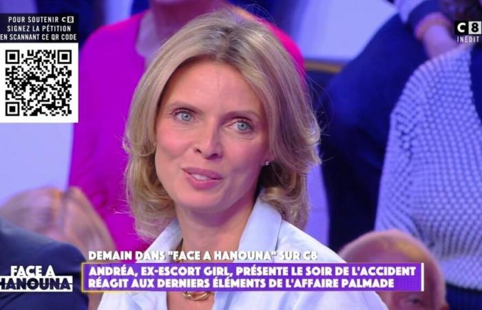 “I didn’t take 12 million euros”: Sylvie Tellier looks back on the circumstances of her departure from Miss France