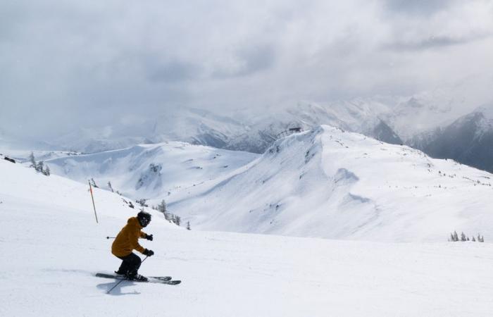 Morning on Blackcomb | The Press