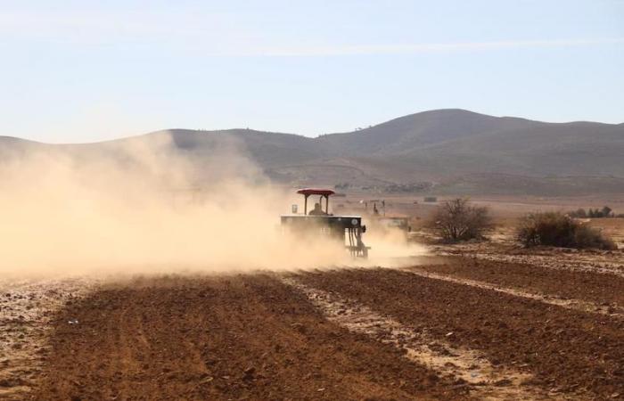 Fez-Meknes. Here is the progress of the 2024-2025 agricultural campaign